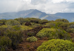 Malpais de Guimar 1