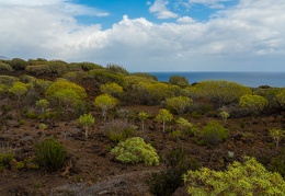 Malpais de Guimar 2