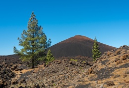 Teide NP 2